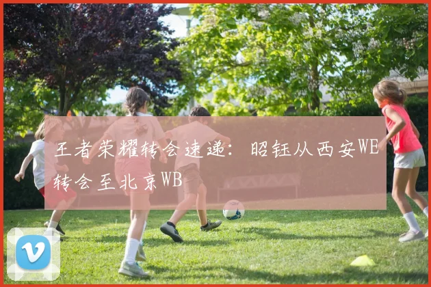王者荣耀转会速递:昭钰从西安WE转会至北京WB