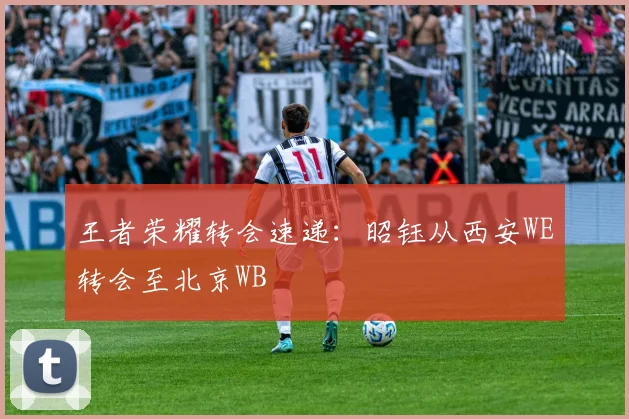 王者荣耀转会速递：昭钰从西安WE转会至北京WB